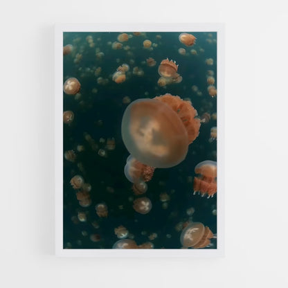 ap-jellyfish lake-2 cadre Blanc