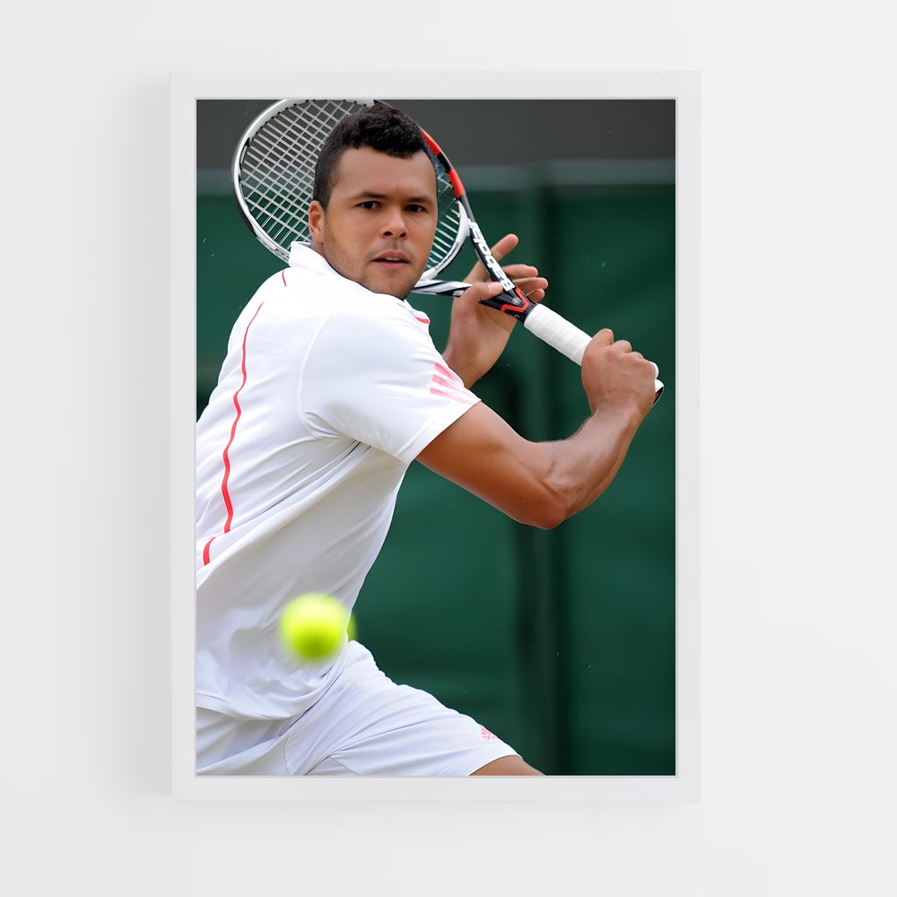 ap-jo-wilfried tsonga-4 cadre Blanc