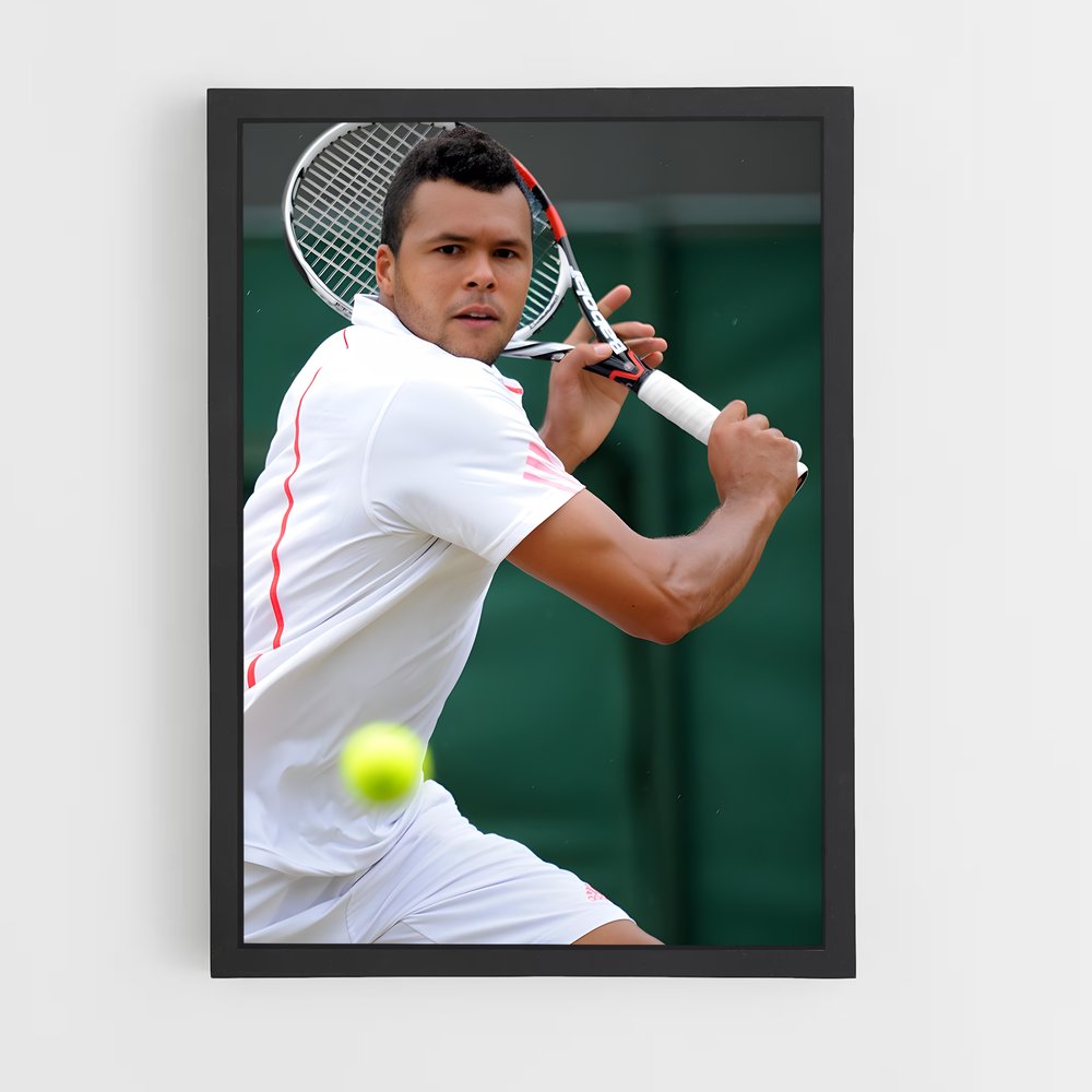ap-jo-wilfried tsonga-4 cadre Noir