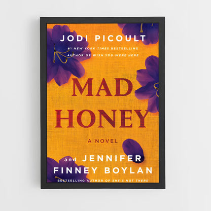 ap-jodi picoult-5 cadre Noir