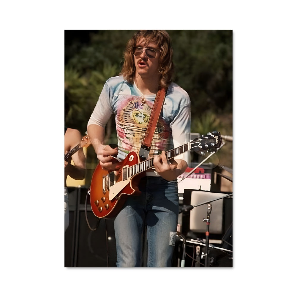 Poster Joe walsh 55598
