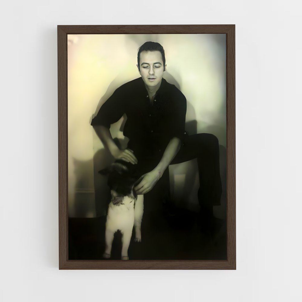 ap-joe strummer-5 cadre Bois foncé