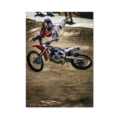 Poster Tricks en Plein Vol