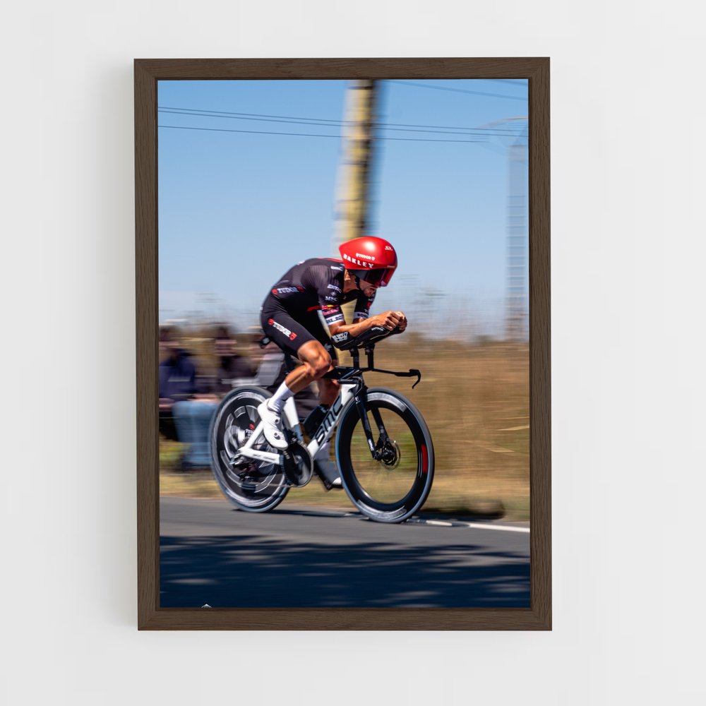 ap-julian alaphilippe-13 cadre Bois foncé