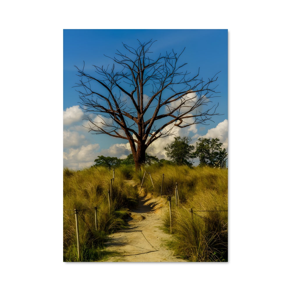 Poster L'Arbre Silencieux