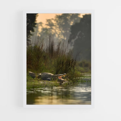 ap-kachikally crocodile pool-4 cadre Blanc