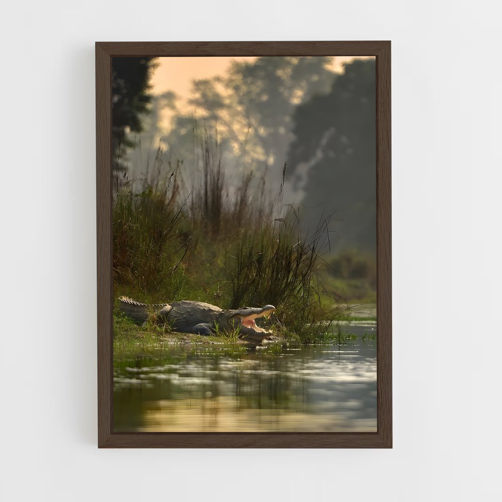 ap-kachikally crocodile pool-4 cadre Bois foncé
