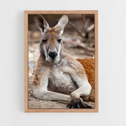 ap-kangaroo-4 cadre Bois clair