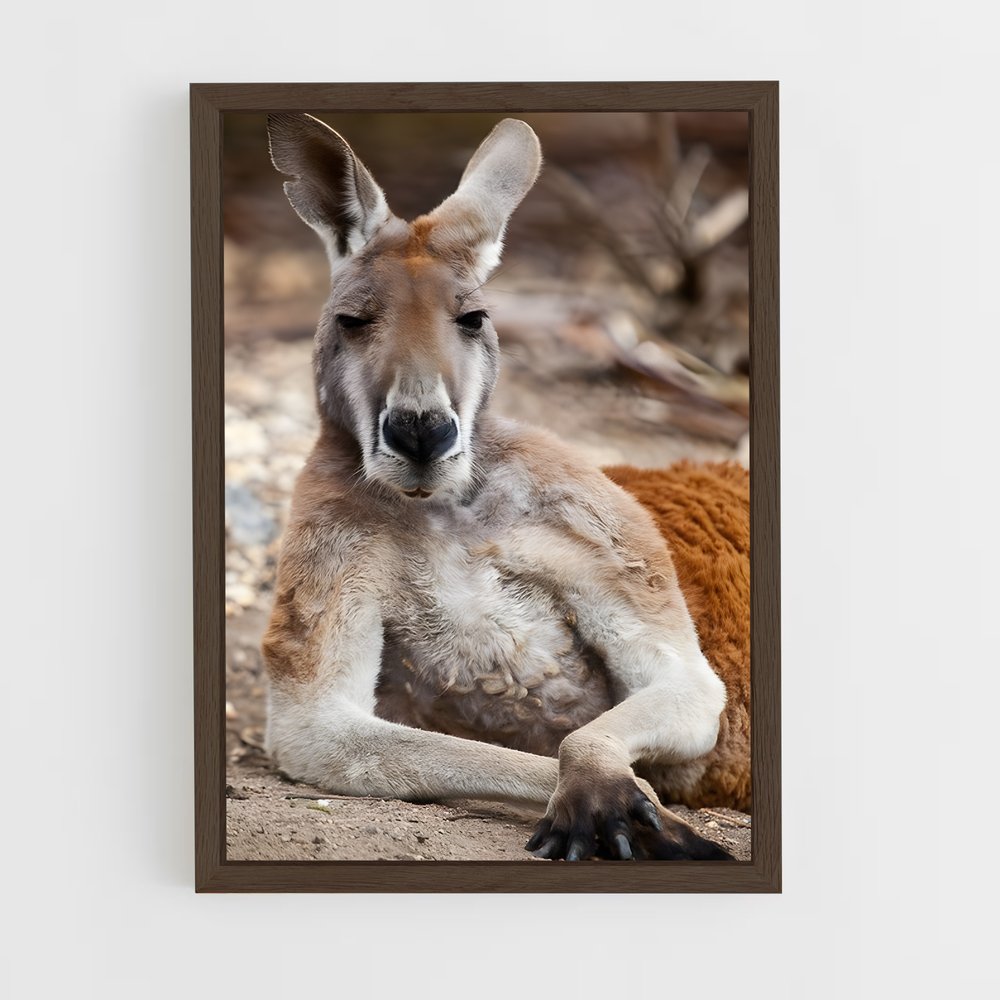 ap-kangaroo-4 cadre Bois foncé