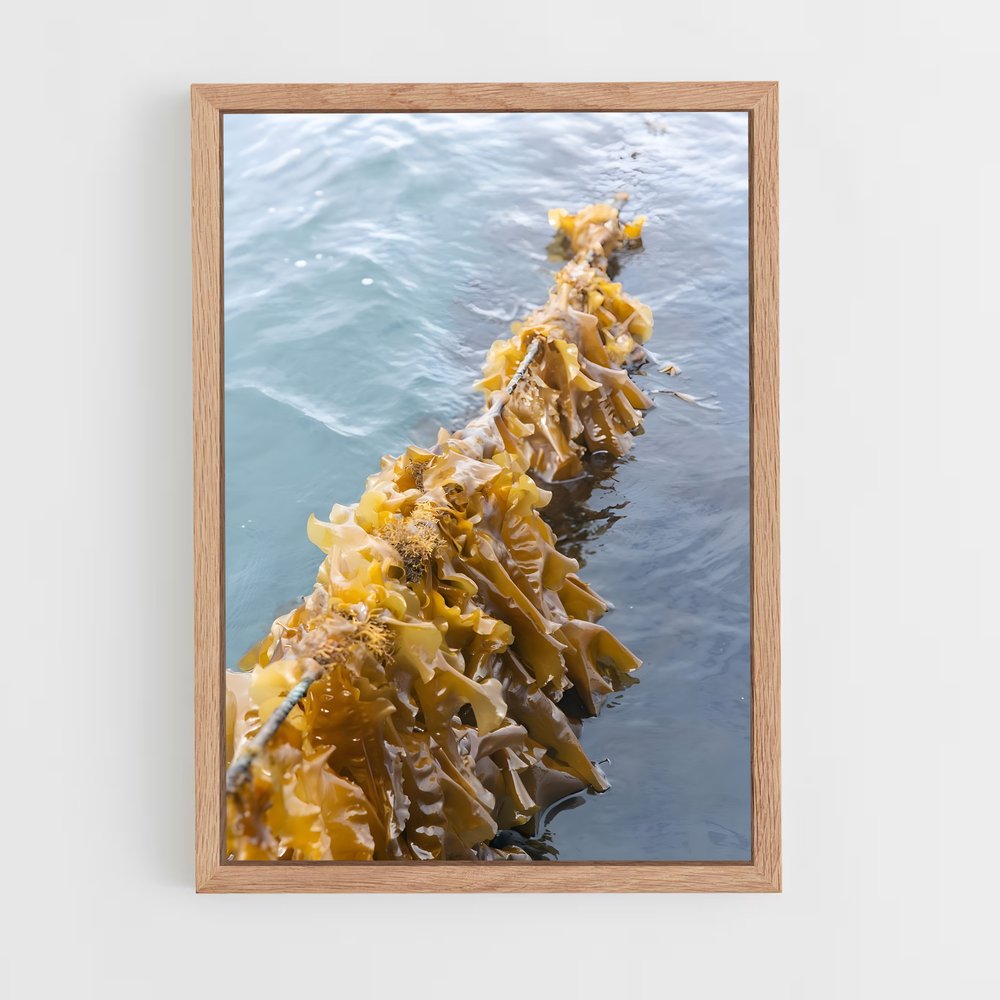 ap-kelp-6 cadre Bois clair