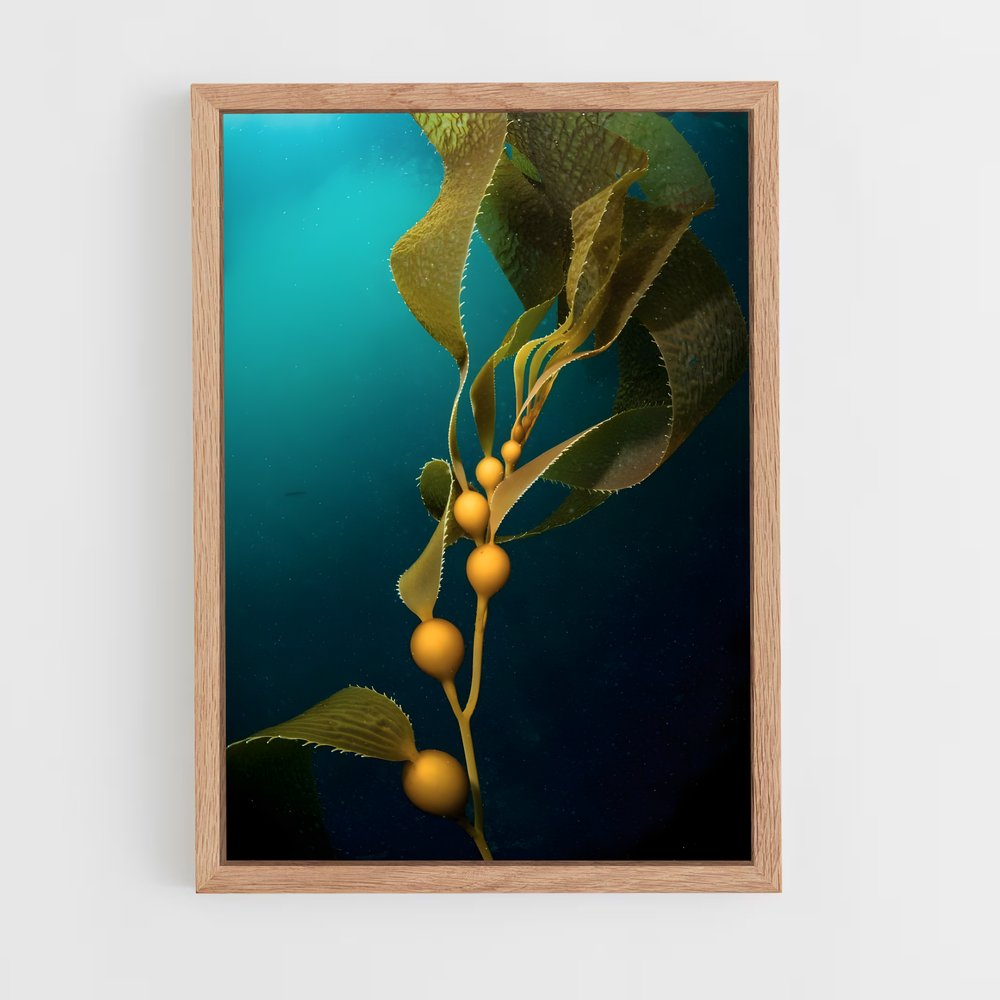 ap-kelp-7 cadre Bois clair