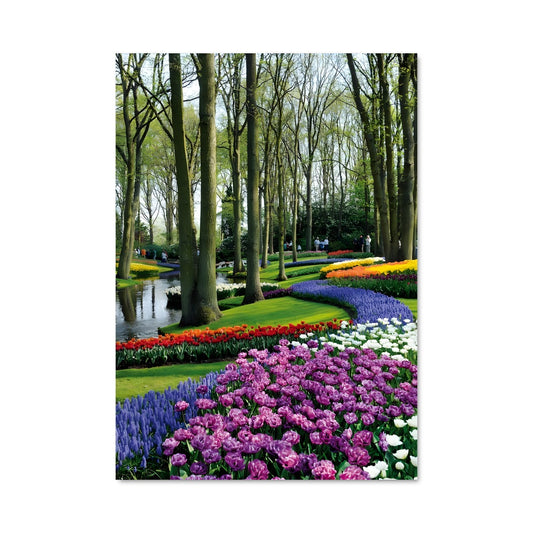 Poster Jardin de Tulipes
