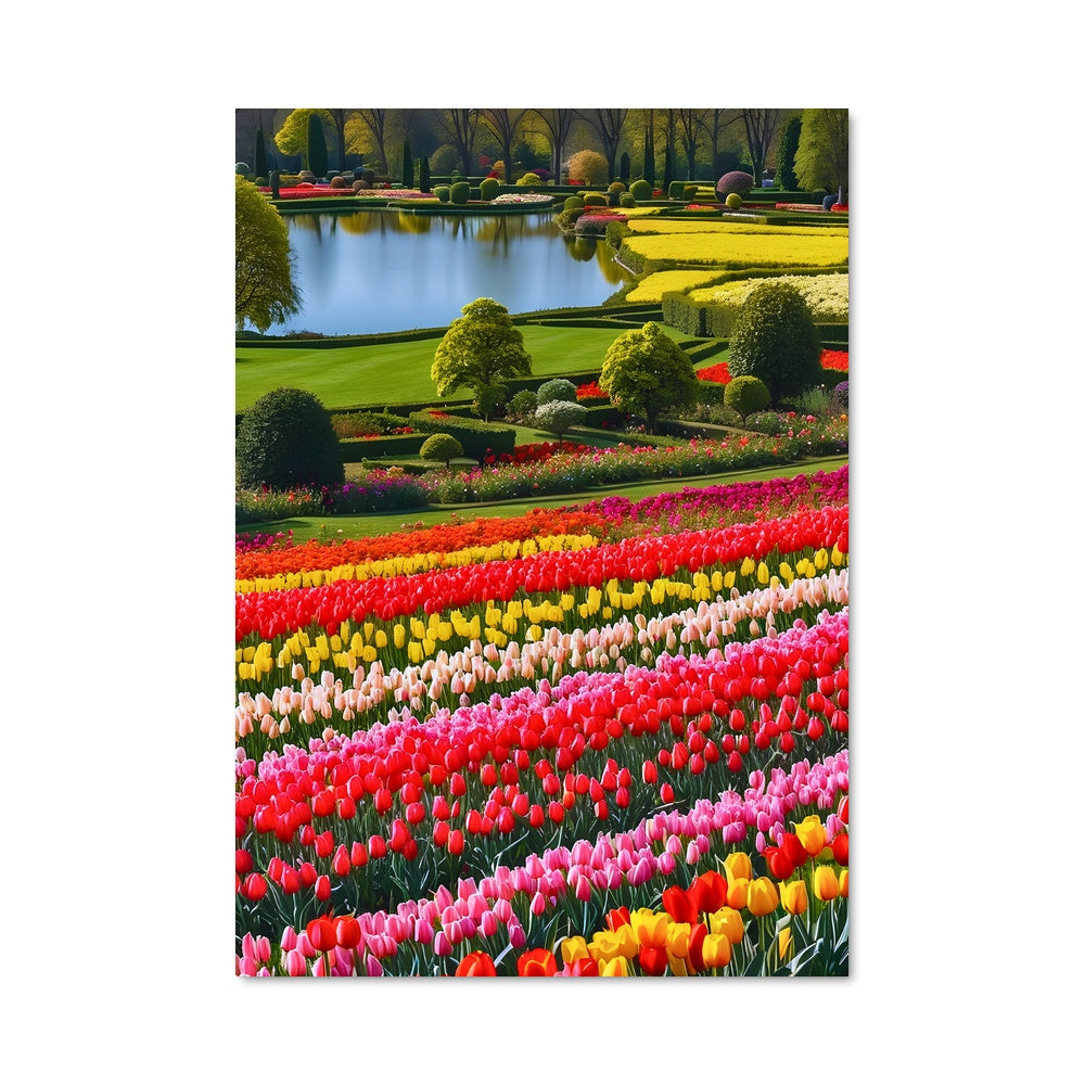 Poster Champ de Tulipes