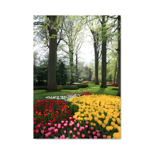 Poster Paradis de Tulipes