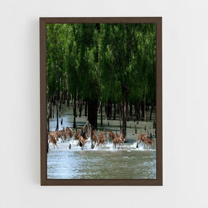ap-khulna-3 cadre Bois foncé
