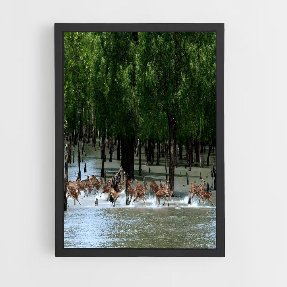 ap-khulna-3 cadre Noir