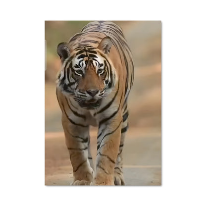 Poster Tigre Errant