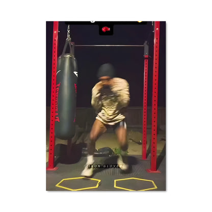 Poster Punch & Kick