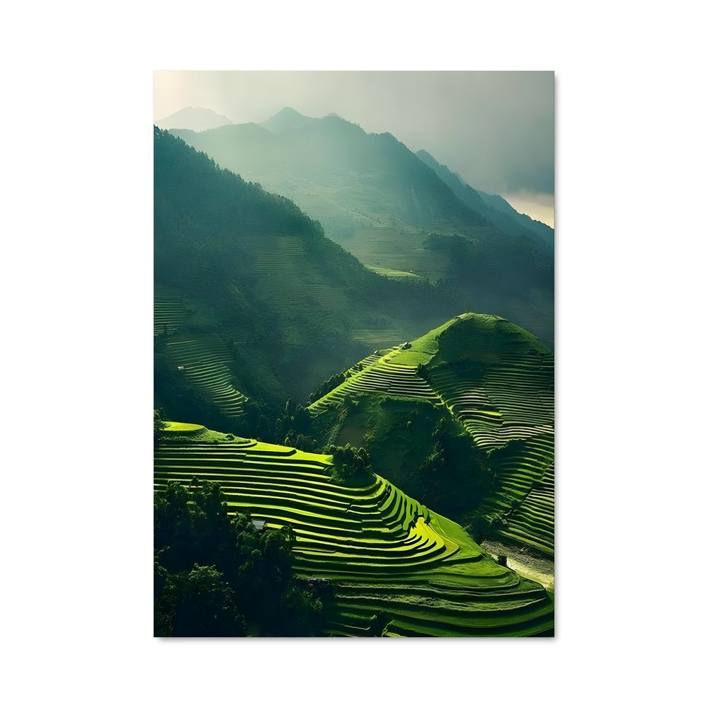 Poster Rizières Enchantées