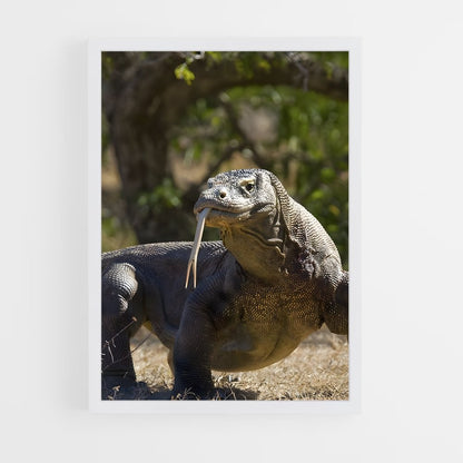 ap-komodo dragon-1 cadre Blanc