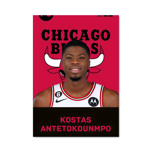 Poster Bulls en Force
