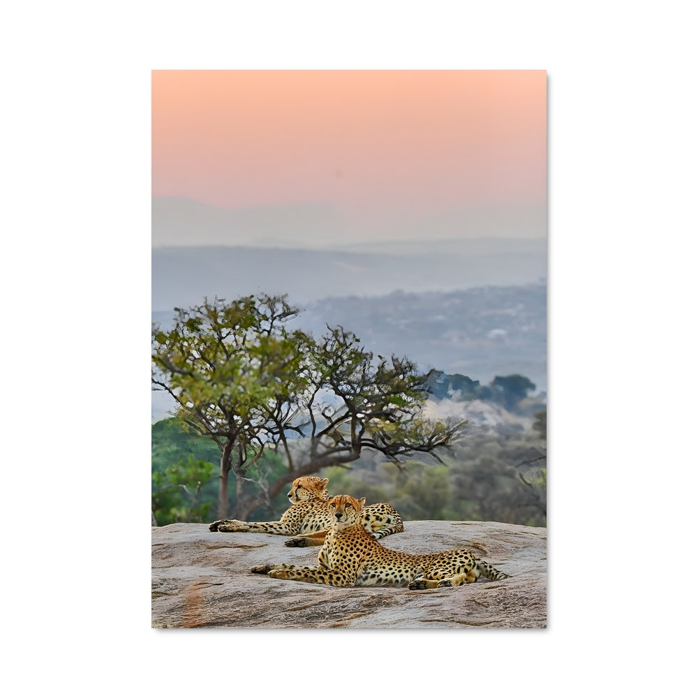 Poster Léopard au Sommet