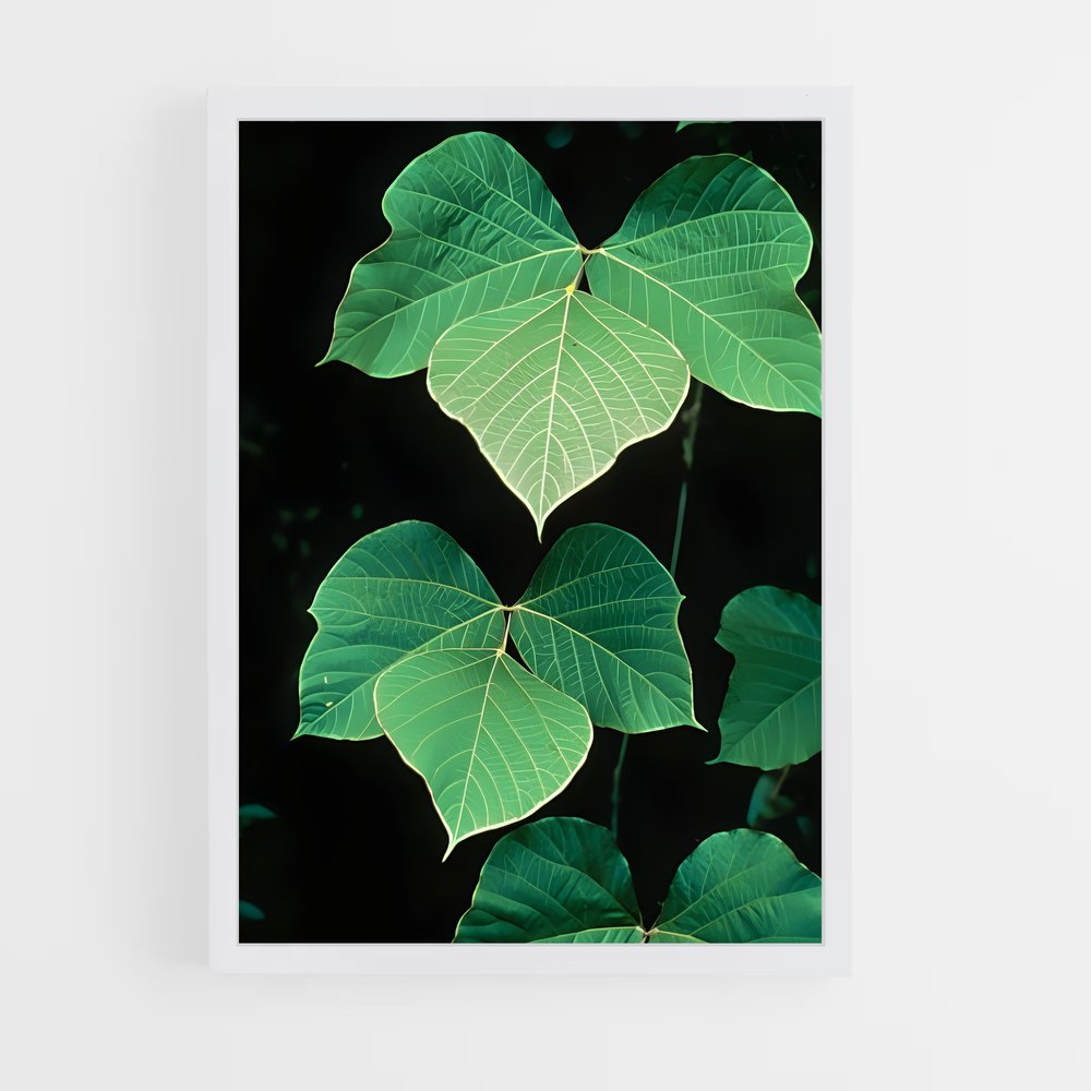 ap-kudzu-4 cadre Blanc