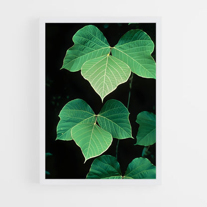 ap-kudzu-4 cadre Blanc