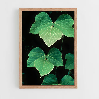 ap-kudzu-4 cadre Bois clair