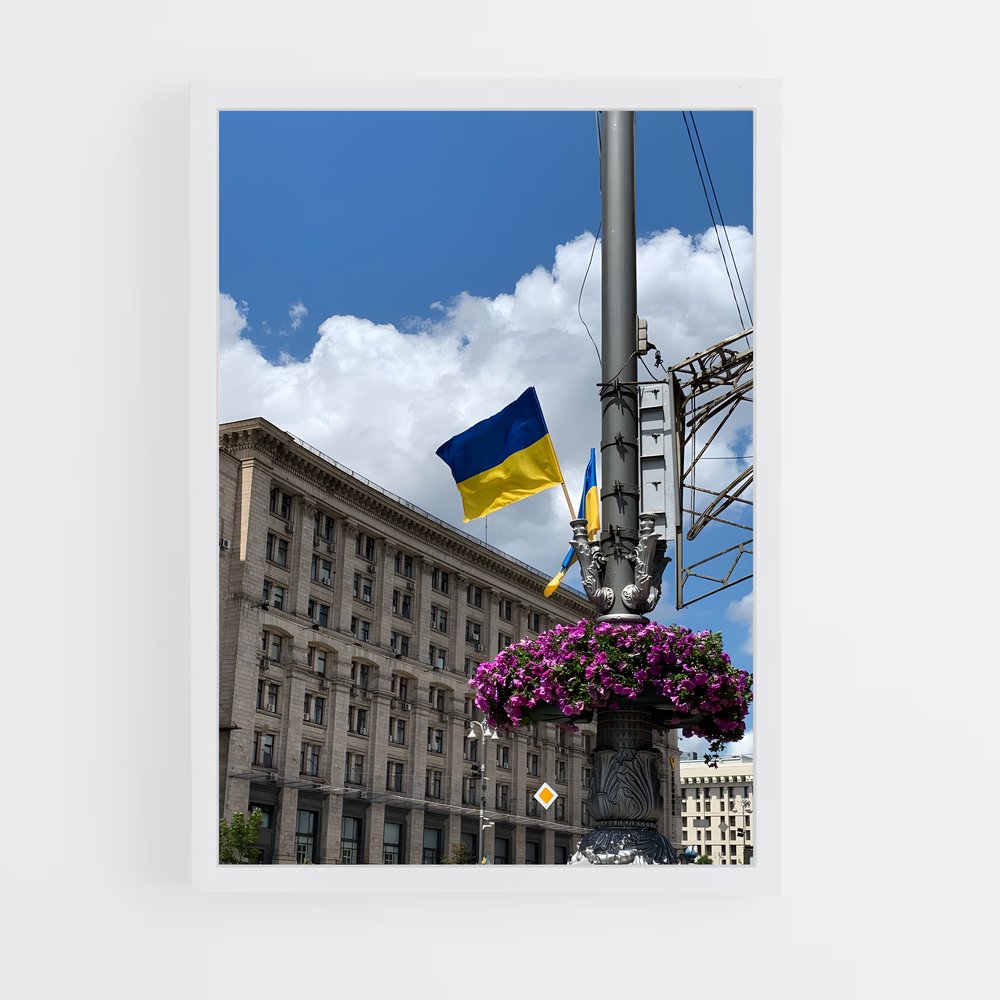 ap-kyiv-6 cadre Blanc