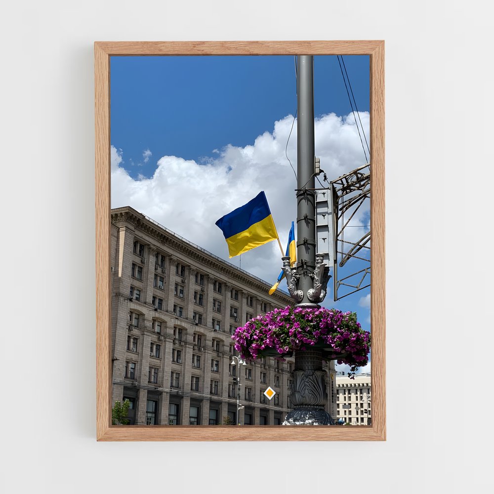 ap-kyiv-6 cadre Bois clair