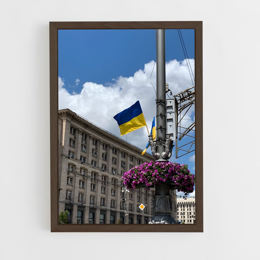 ap-kyiv-6 cadre Bois foncé