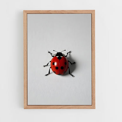 ap-ladybug-13 cadre Bois clair