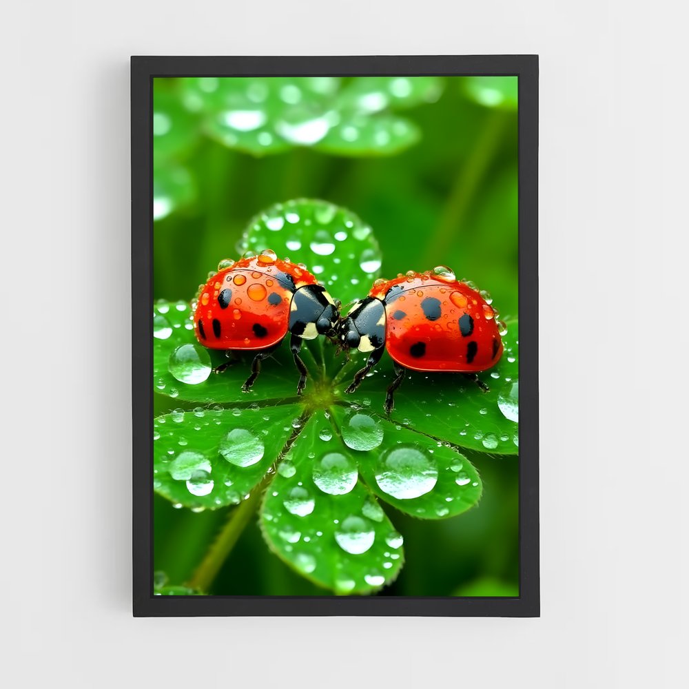 ap-ladybug-8 cadre Noir