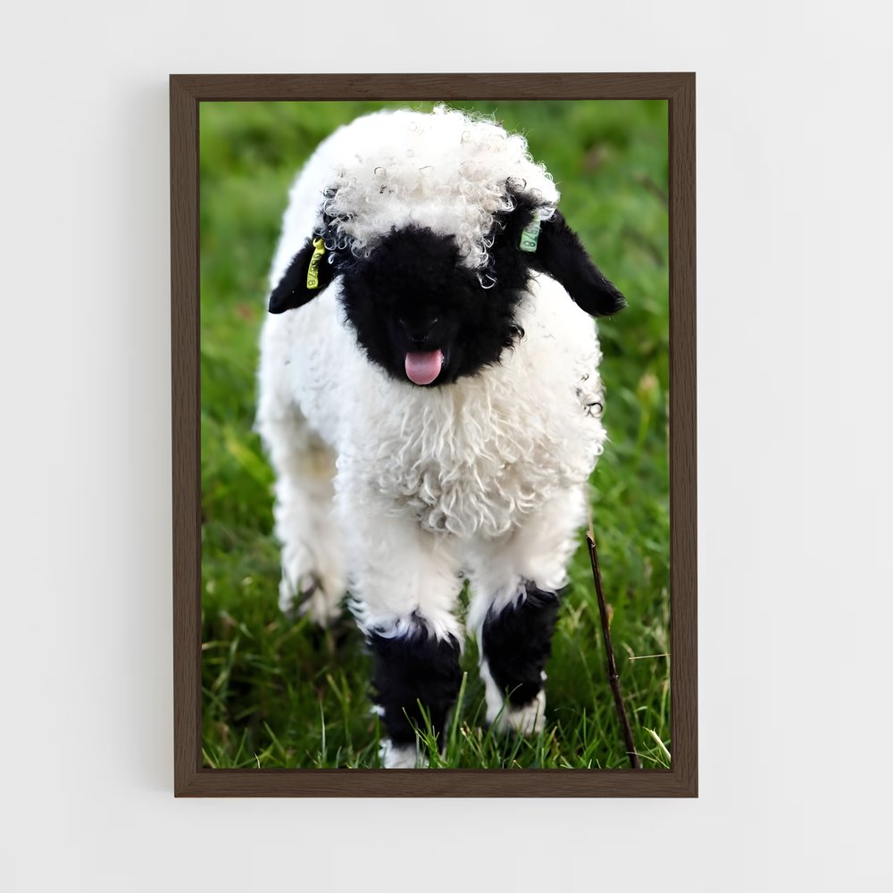ap-lamb-14 cadre Bois foncé