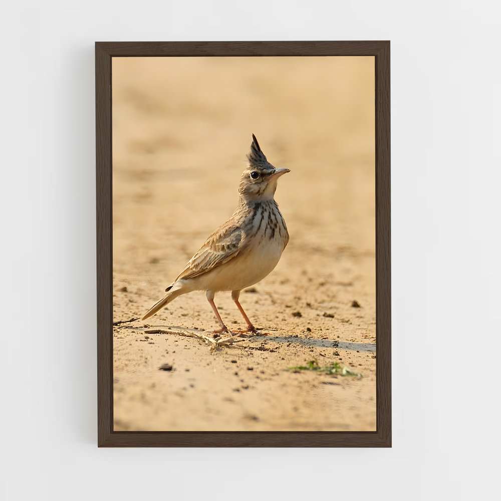ap-lark-3 cadre Bois foncé