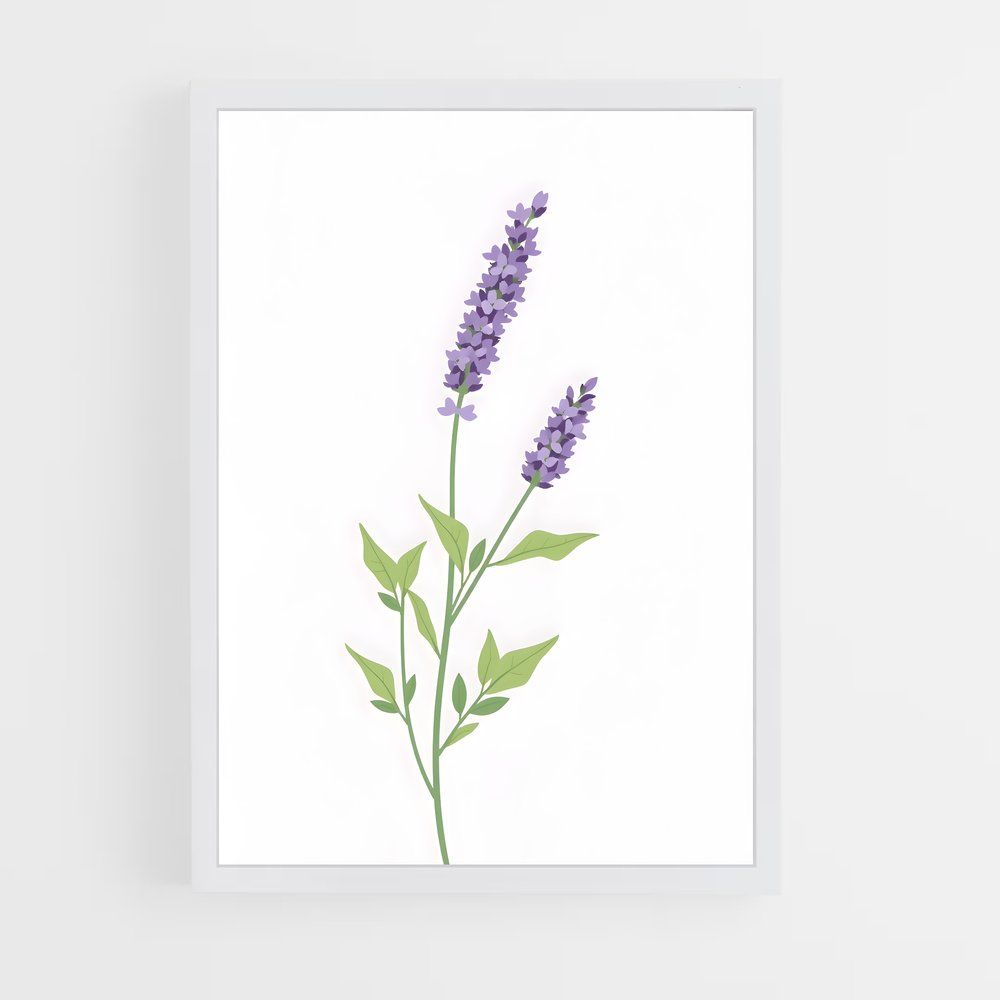 ap-lavender-14 cadre Blanc