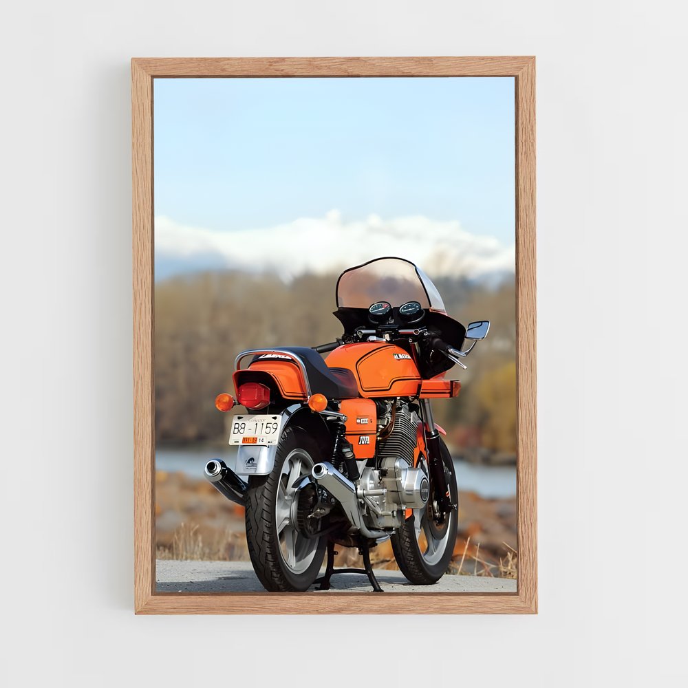 ap-laverda-1 cadre Bois clair