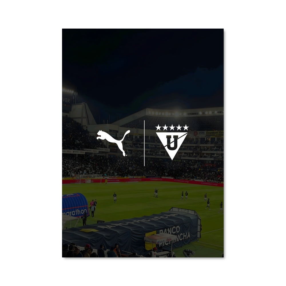 Poster Stade de la Passion