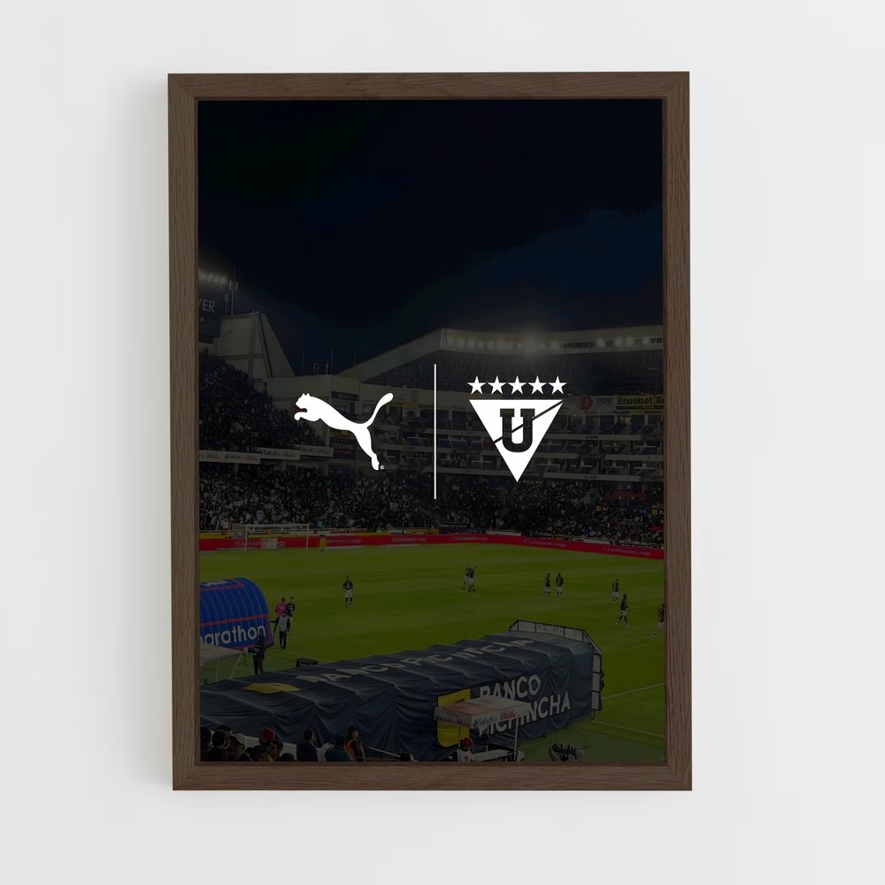 ap-ldu quito-5 cadre Bois foncé