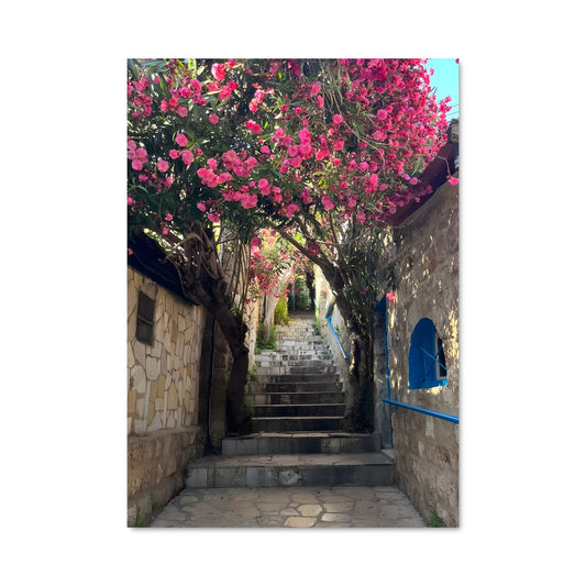 Poster Chemin de Pétales