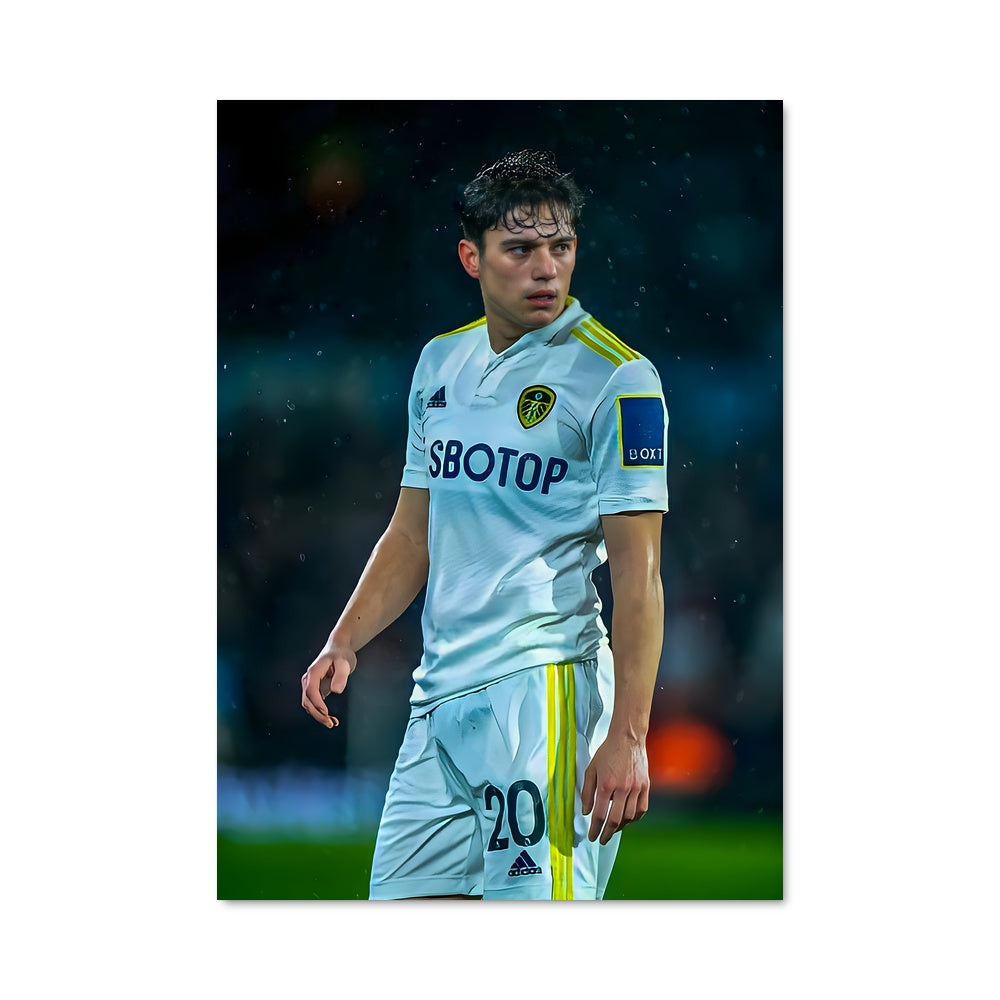Poster Envol de Leeds