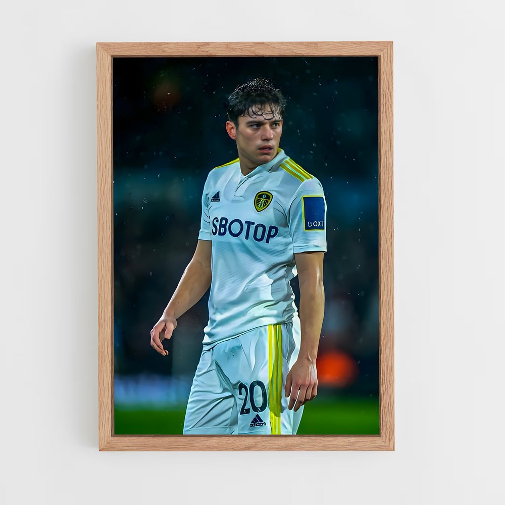 ap-leeds united fc-4 cadre Bois clair