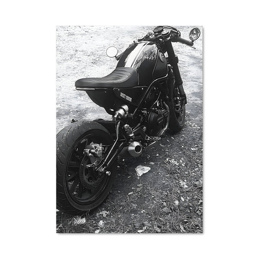 Poster Leoncino 500 81854