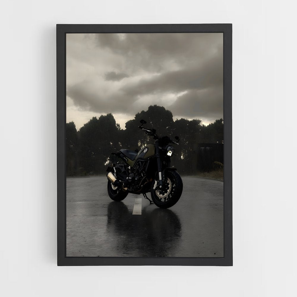 ap-leoncino 500-1 cadre Noir