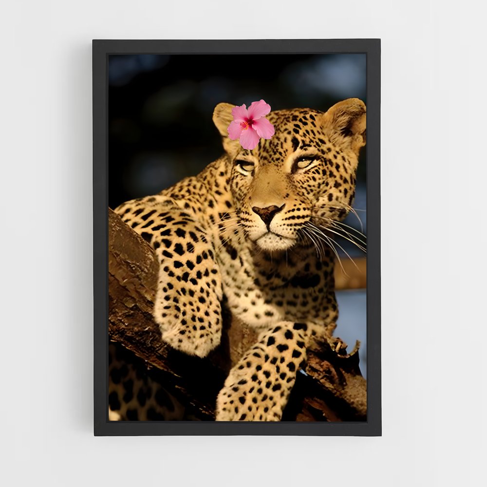 ap-leopard-6 cadre Noir