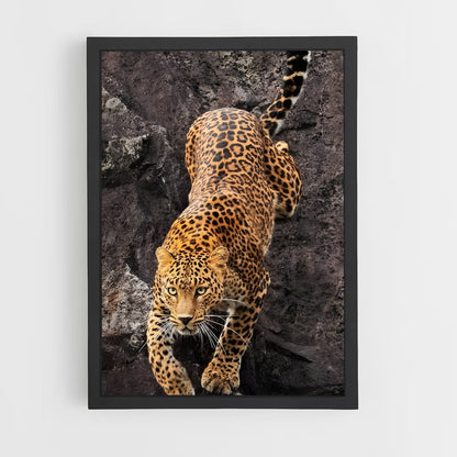 ap-leopard-8 cadre Noir