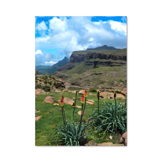 Poster Monts Fleuris