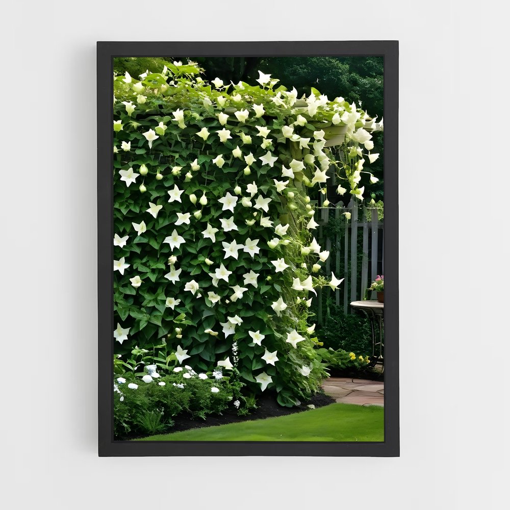 ap-liana-1 cadre Noir