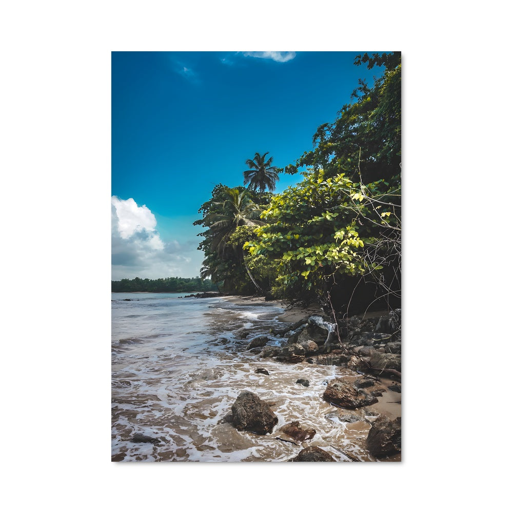 Poster Côte Sauvage